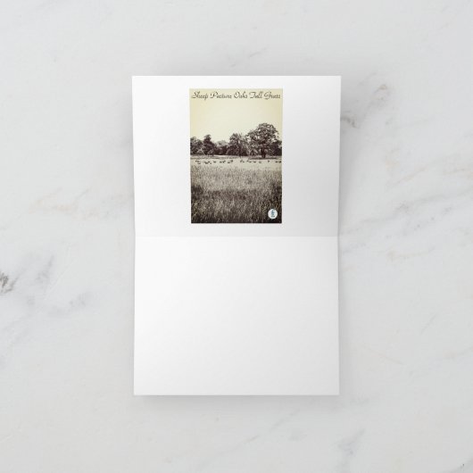 羊の牧草丈の草写真ノートカード ノートカード (内部)