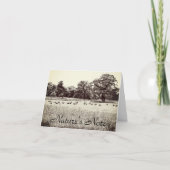 羊の牧草丈の草写真ノートカード ノートカード (正面)