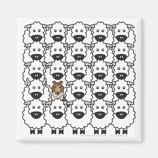 羊の磁石のシェットランド・シェプドッグ マグネット (正面)