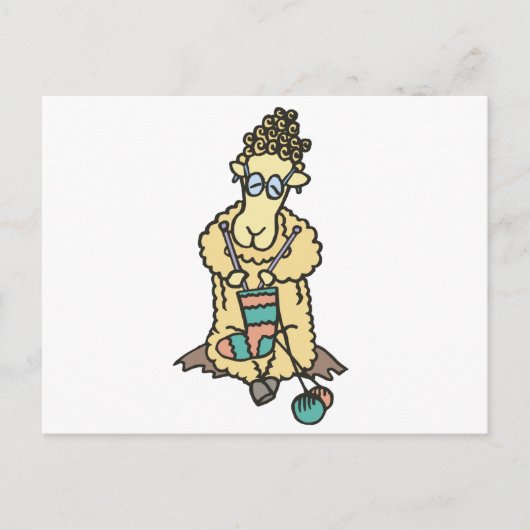 羊の編み物 ポストカード (正面)