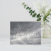 羊の群れのポストカード ポストカード (スタンド正面)