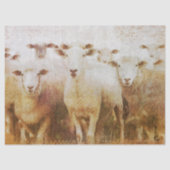 羊の群れの分離 薄葉紙 (正面)