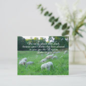 羊の群れ – 復活祭/聖書の詩篇 シーズンポストカード (スタンド正面)