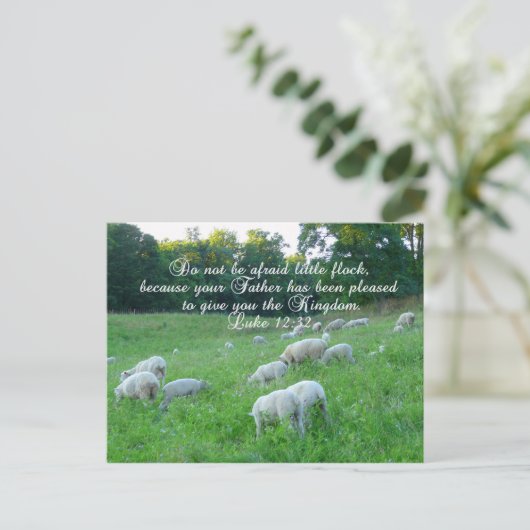 羊の群れ – 復活祭/聖書の詩篇 シーズンポストカード (スタンド正面)