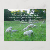 羊の群れ – 復活祭/聖書の詩篇 シーズンポストカード (正面)