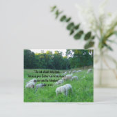 羊の群れ – 詩篇と復活祭 シーズンポストカード (スタンド正面)