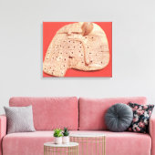 羊の肝臓のモデル キャンバスプリント (インサイチュ (リビング))