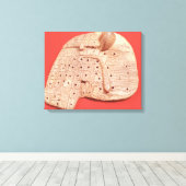 羊の肝臓のモデル キャンバスプリント (インサイチュ (ウッドフロア))