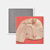 羊の肝臓のモデル マグネット (正面/裏面)