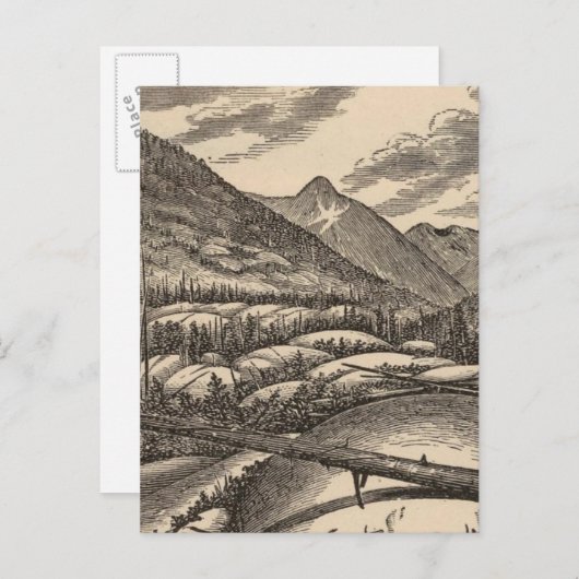 羊の背 ポストカード (正面/裏面)