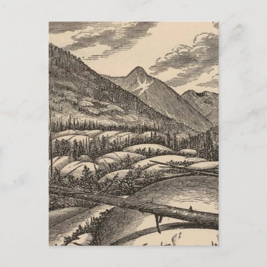 羊の背 ポストカード (正面)