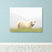 羊の自然写真 キャンバスプリント (インサイチュ (ウッドフロア))