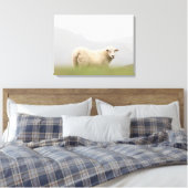羊の自然写真 キャンバスプリント (インサイチュ (寝室))