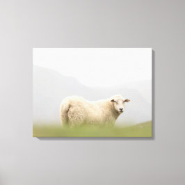 羊の自然写真 キャンバスプリント