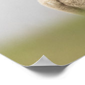 羊の自然写真 ポスター (角)