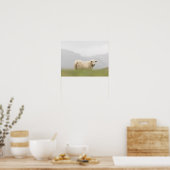 羊の自然写真 ポスター (キッチン)