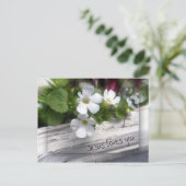 羊の葉書 ポストカード (スタンド正面)