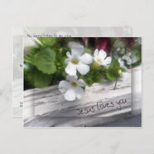 羊の葉書 ポストカード (正面/裏面)