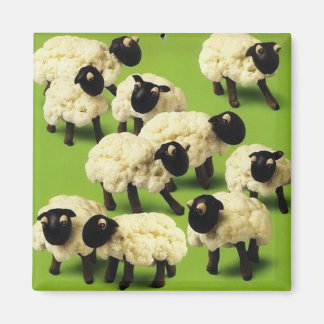 羊の餌 マグネット