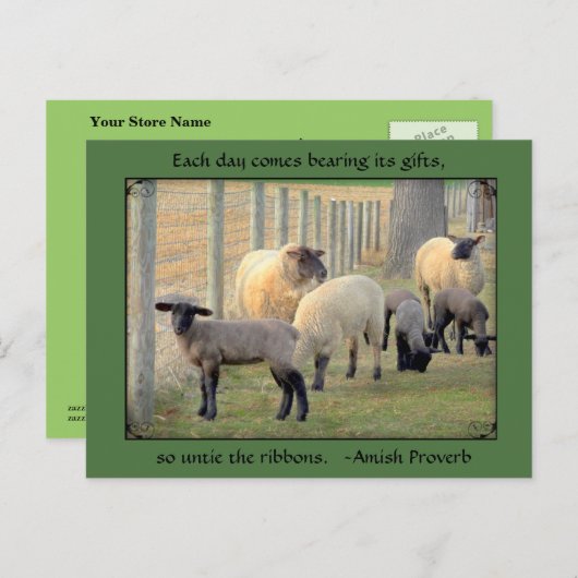 羊はがき、アミッシュ諺。テキストの追加 ポストカード (正面/裏面)