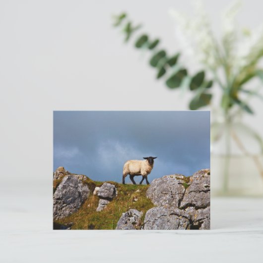 羊はがき ポストカード (スタンド正面)