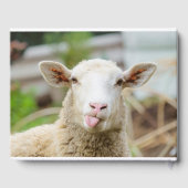 羊は舌を出す ゲストブック (裏面)