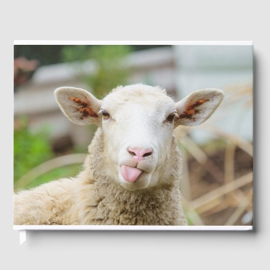 羊は舌を出す ゲストブック (正面)