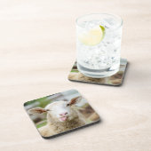 羊は舌を出す コースター (右側)