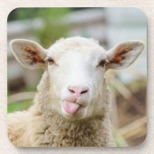 羊は舌を出す コースター (正面)