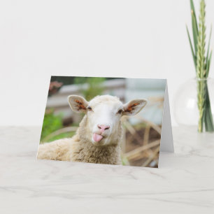 羊は舌を出す シーズンカード