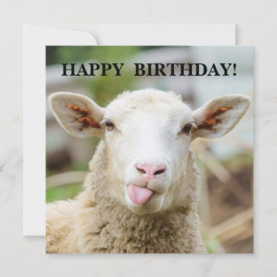 羊は舌を出す シーズンカード