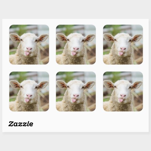 羊は舌を出す スクエアシール (シート)