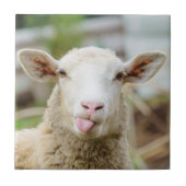 羊は舌を出す タイル (正面)