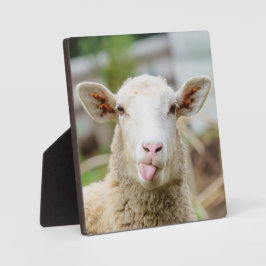 羊は舌を出す フォトプラーク