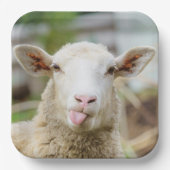 羊は舌を出す ペーパープレート (正面)