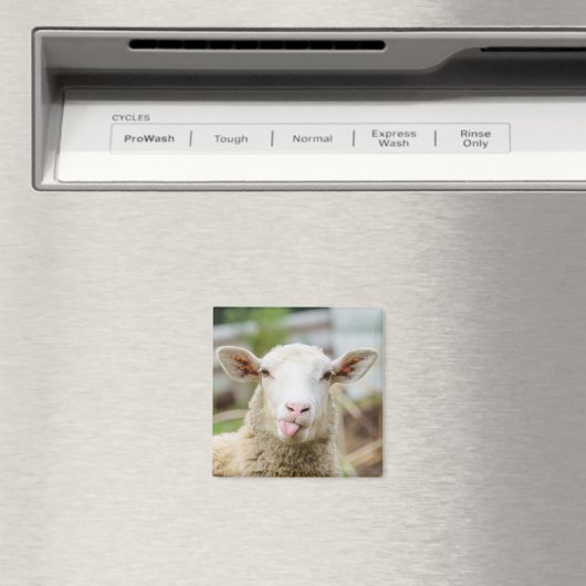 羊は舌を出す マグネット (インサイチュ (食洗機))