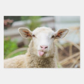 羊は舌を出す ラッピングペーパーシート (正面)