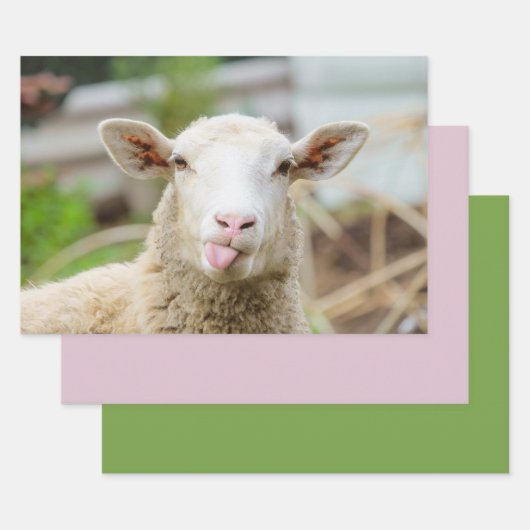 羊は舌を出す ラッピングペーパーシート (セット)