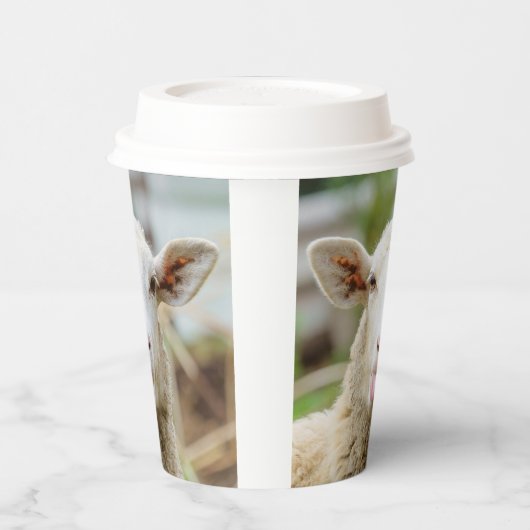 羊は舌を出す 紙コップ (左)