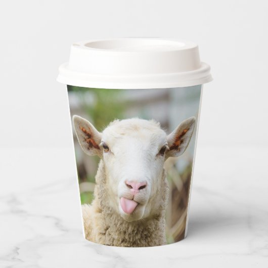羊は舌を出す 紙コップ (裏面)