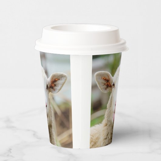 羊は舌を出す 紙コップ (右)