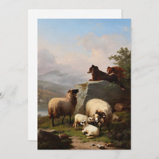 羊を守る羊の犬、川を見下ろす シーズンカード (正面/裏面)