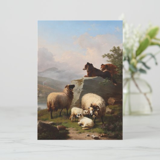 羊を守る羊の犬、川を見下ろす シーズンカード (スタンド正面)