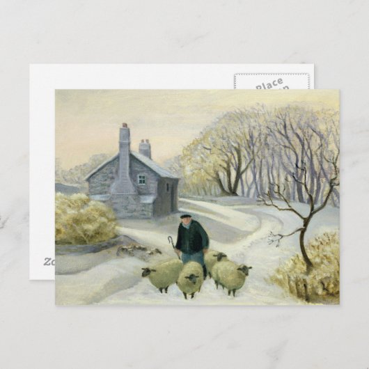 羊を導く ポストカード (正面/裏面)