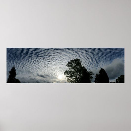 羊を数える ポスター (正面)