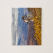 羊オヴィスダリラム ジグソーパズル (縦)