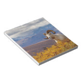 羊オヴィスダリラム ノートパッド (アングル)