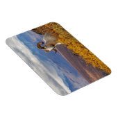 羊オヴィスダリラム マグネット (右側)