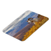 羊オヴィスダリラム マグネット (左側)