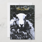 羊招待状 (正面)